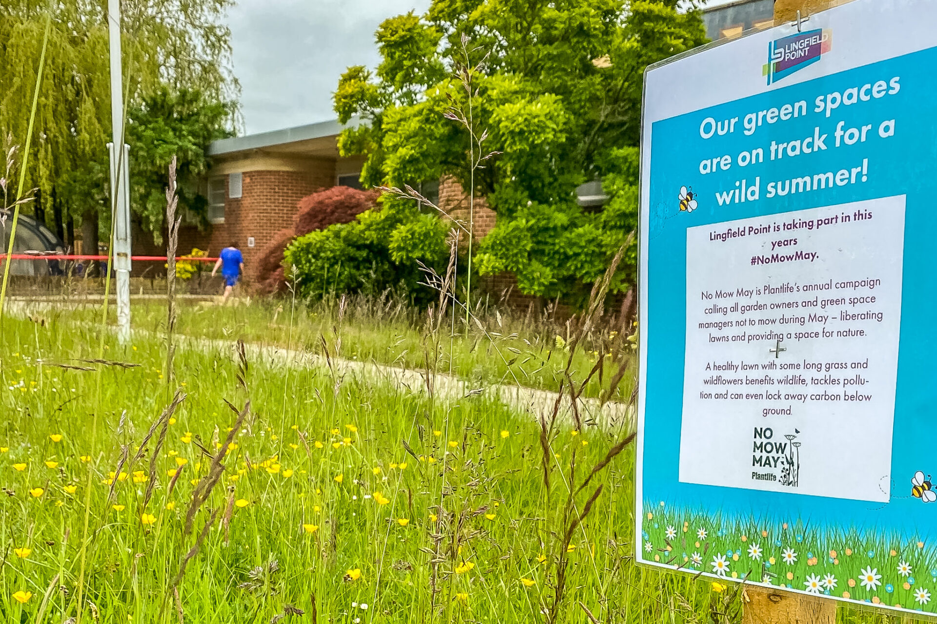 We are glad we did our bit for biodiversity this No Mow May