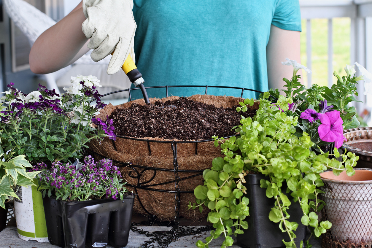 Lingfield Point Brightens the Workplace with Hanging Basket Workshop
